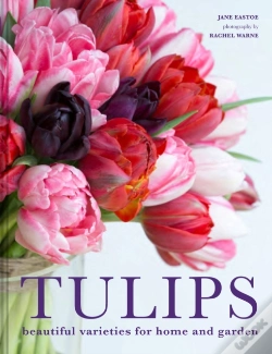 Capa do artigo Tulips