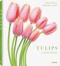Tulips - Preview