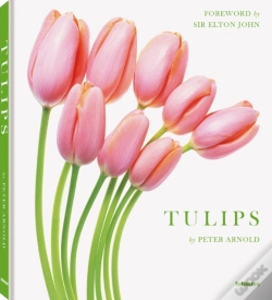 Capa do artigo Tulips