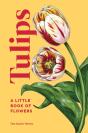 Tulips - Preview