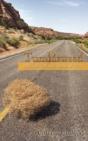 Tumbleweed: A Traveling Nurses Stories O - Preview