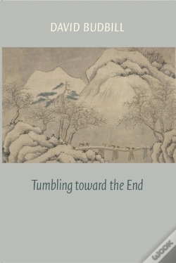Capa do artigo Tumbling Toward The End
