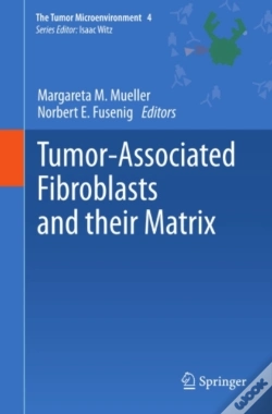Capa do artigo Tumor-Associated Fibroblasts And Their Matrix