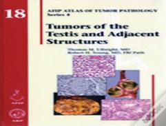 Tumors Of The Testis And Adjacent Structures