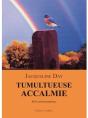 Tumultueuse Accalmie - Preview