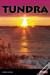 Capa do artigo Tundra