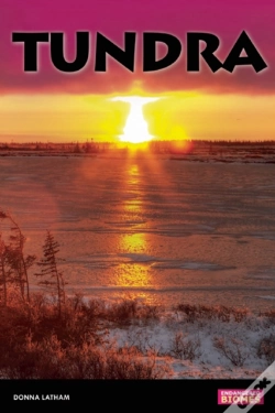 Capa do artigo Tundra