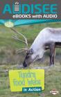 Tundra Food Webs In Action - Preview