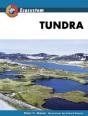 Tundra - Preview