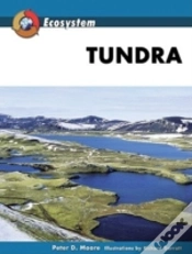 Capa do artigo Tundra