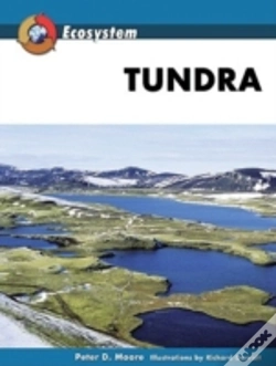 Capa do artigo Tundra