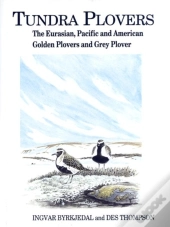 Tundra Plovers