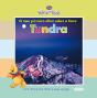 Tundra - Preview