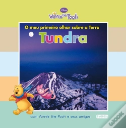 Capa do artigo Tundra