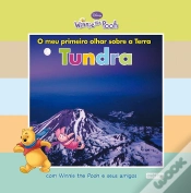 Capa do artigo Tundra