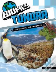 Tundra