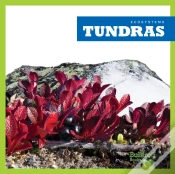 Capa do artigo Tundras