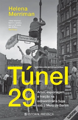 Capa do artigo Túnel 29
