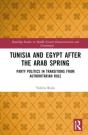 Tunisia And Egypt After The Arab Spring - Preview