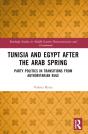 Tunisia And Egypt After The Arab Spring - Preview