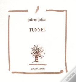 Capa do artigo Tunnel