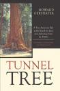 Tunnel Tree - Preview