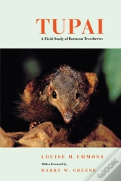 Capa do artigo Tupai