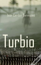 Capa do artigo Turbio