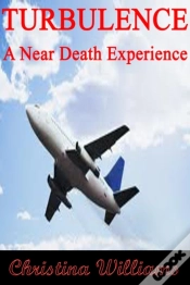Capa do artigo Turbulence: A Near Death Experience