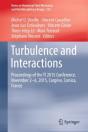 Turbulence And Interactions - Preview