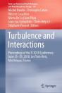Turbulence And Interactions - Preview