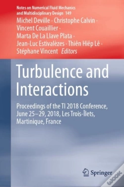 Capa do artigo Turbulence And Interactions
