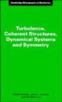 Turbulence, Coherent Structures, Dynamical Systems And Symmetry - Preview