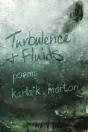 Turbulence & Fluids - Preview