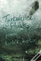 Capa do artigo Turbulence & Fluids