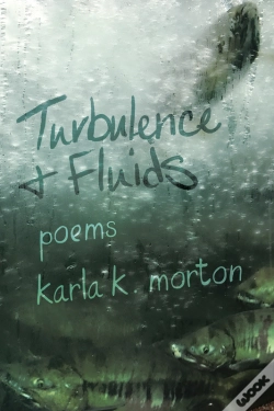 Capa do artigo Turbulence & Fluids