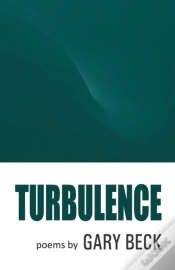 Capa do artigo Turbulence