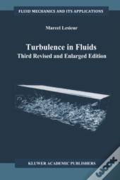 Turbulence In Fluids