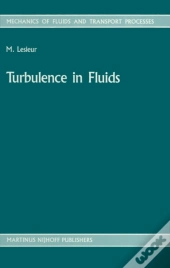 Turbulence In Fluids