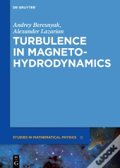 Turbulence In Magnetohydrodynamics