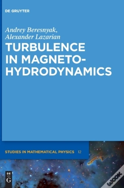 Capa do artigo Turbulence In Magnetohydrodynamics