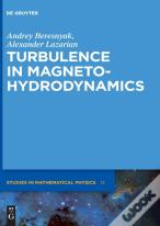 Turbulence In Magnetohydrodynamics