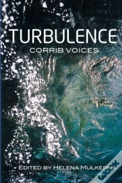 Capa do artigo Turbulence