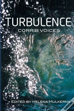 Capa do artigo Turbulence
