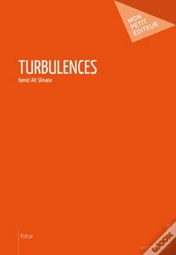 Capa do artigo Turbulences