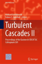 Turbulent Cascades Ii - Preview