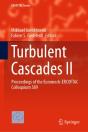 Turbulent Cascades Ii - Preview