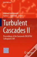 Turbulent Cascades Ii
