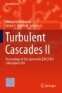 Turbulent Cascades Ii - Preview