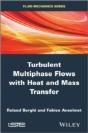 Turbulent Multiphase Flows With Heat And Mass Transfer - Preview